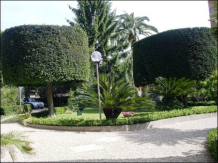 giardino (1).JPG