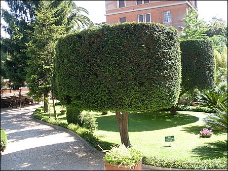 giardino (5).JPG